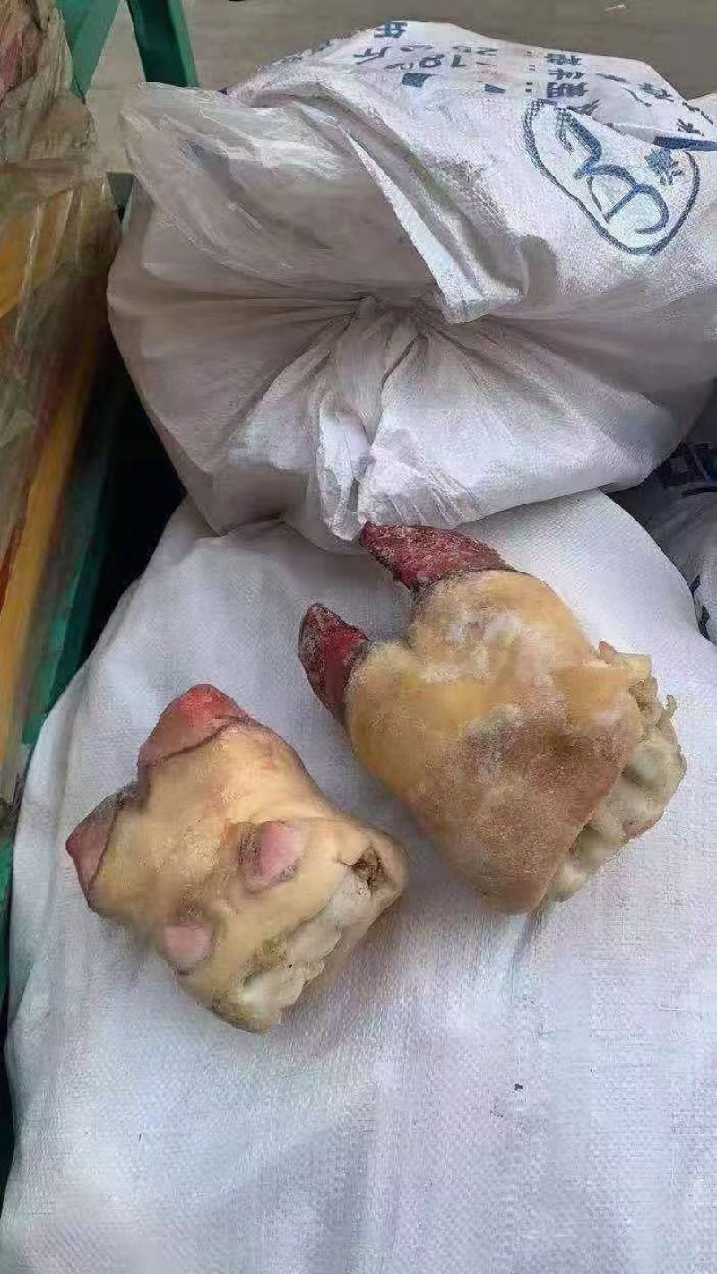牛掌，纯干不抽筋，大量现货实拍，价格合适，量大可议价
