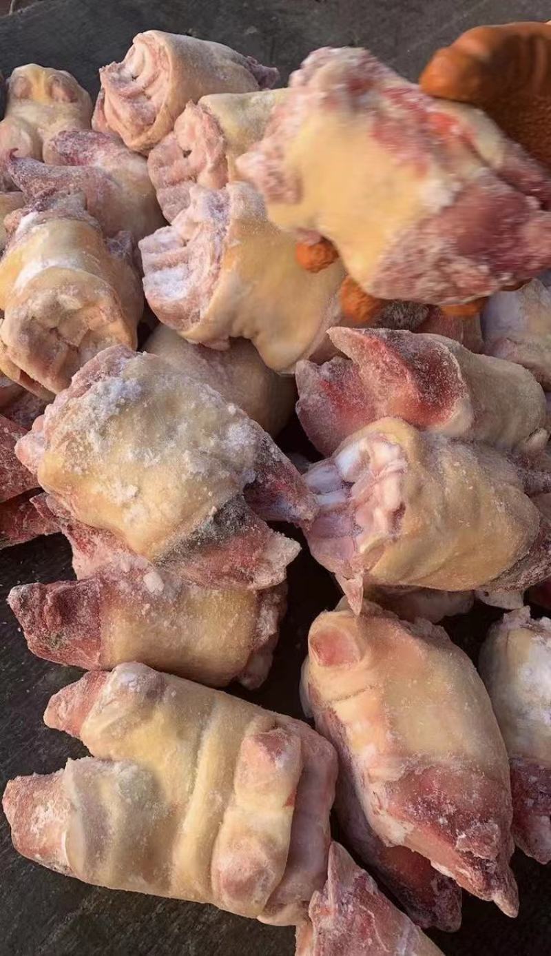 牛掌，纯干不抽筋，大量现货实拍，价格合适，量大可议价