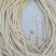 武植2号精品白玉粘藕种藕带种藕粘自产自销，货源充足