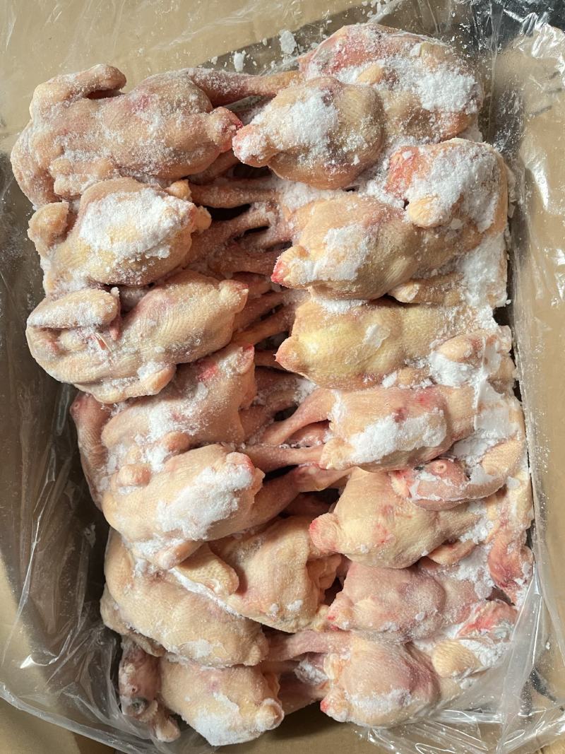 三黄鸡