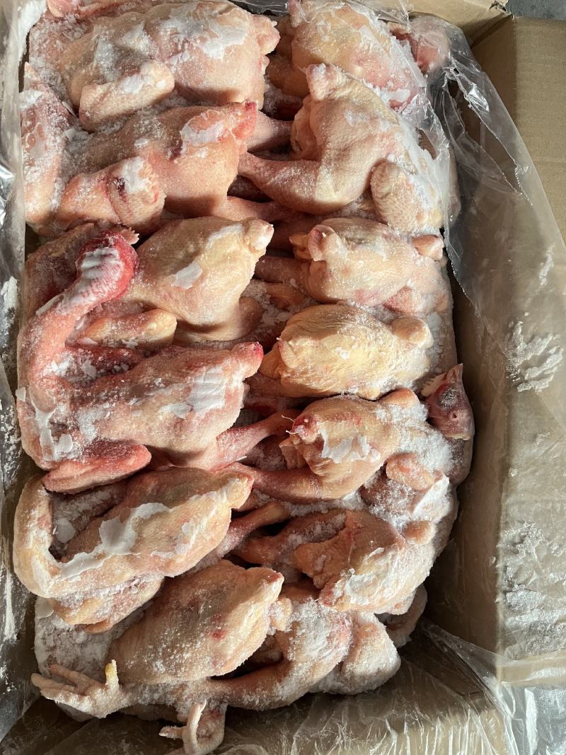 三黄鸡