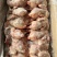 三黄鸡