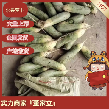 『实力』山东水果萝卜大量上市，质量保证，欢迎新老顾客咨询