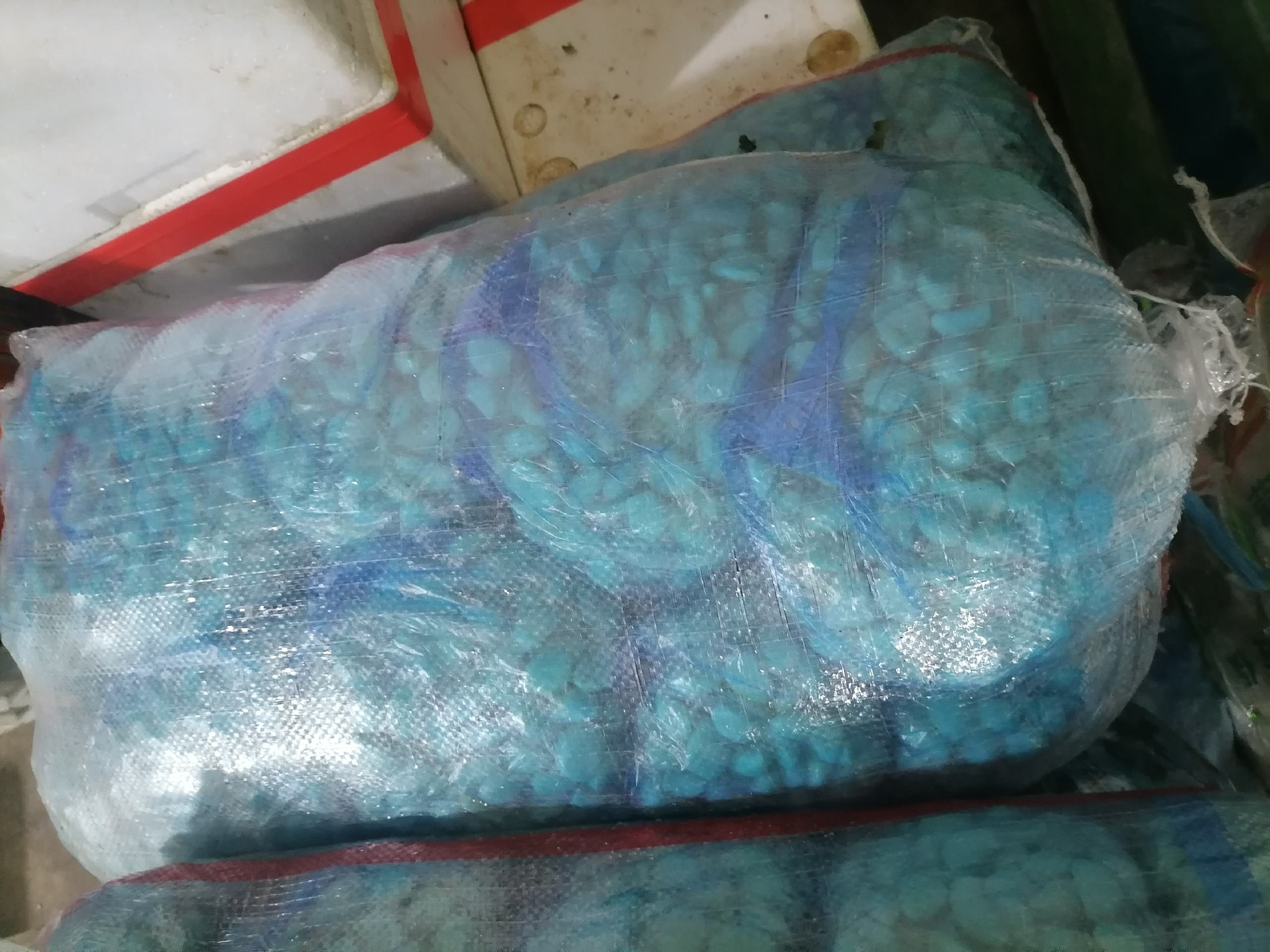 拨好的蒜米冷藏保存示意图