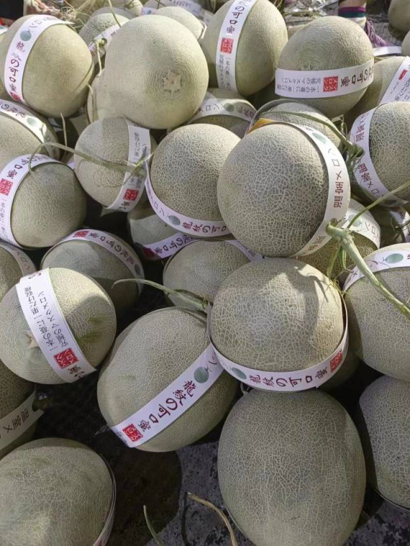 基地对接供应商