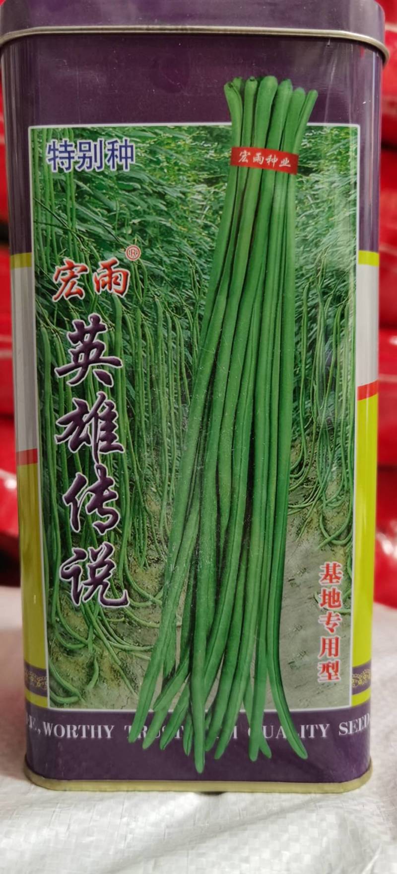 宏雨独霸江山豇豆种子荚长70-90厘米左右耐热耐寒长豆角