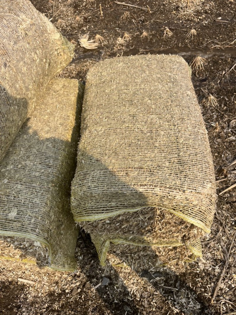 玉米秸秆草包过夏草无土无膜