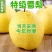 【精品】河北雪花梨冷库供应大量现货，规格齐全对接各大批发市场