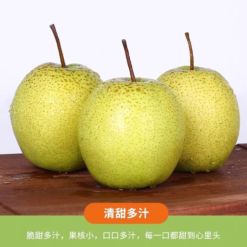 【精品】河北雪花梨冷库供应大量现货，规格齐全对接各大批发市场