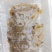 皮皮虾虾肉纯虾肉活剥虾肉，保质保量，可视频看货
