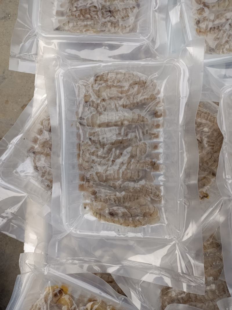 皮皮虾虾肉纯虾肉活剥虾肉，保质保量，可视频看货