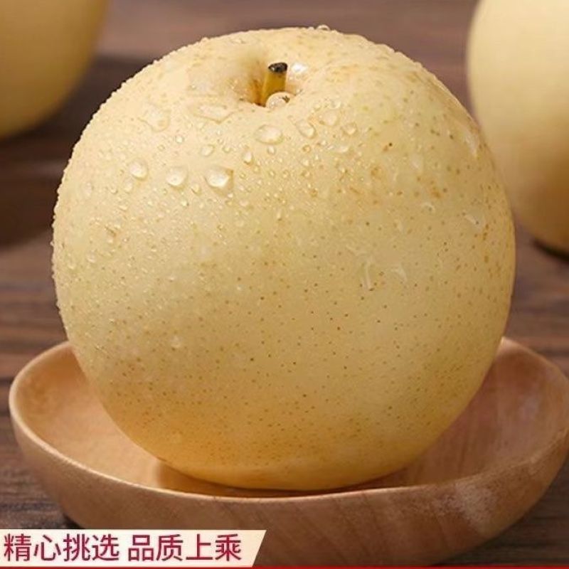 【精品】河北精品皇冠梨，脆甜多汁核小无渣品质保证货源充足