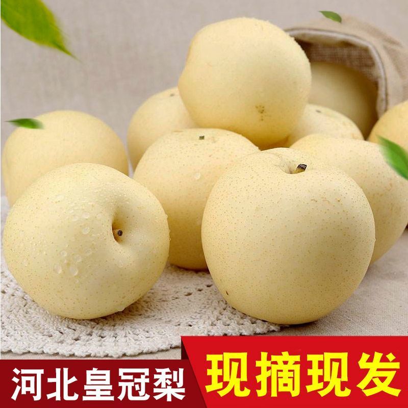 【精品】河北精品皇冠梨，脆甜多汁核小无渣品质保证货源充足