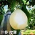 河北精品水晶鸭梨，现货供应，质量保证可打包供应各大市场商超