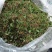 一支箭产新中