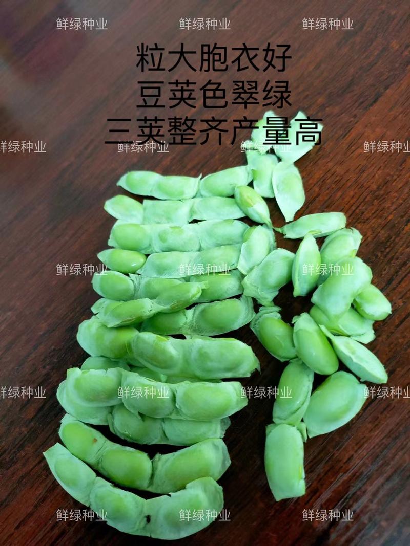雨农毛豆种子奎鲜2号口感品质优香甜柔糯