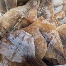 烧烤鱿鱼专用，鱿鱼板