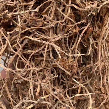 垂盆草【包邮】三斤起发货可批量可零售量大从优