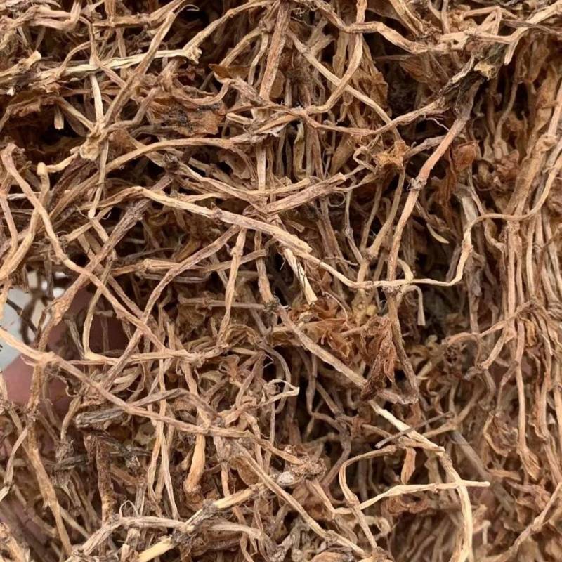 垂盆草【包邮】三斤起发货可批量可零售量大从优
