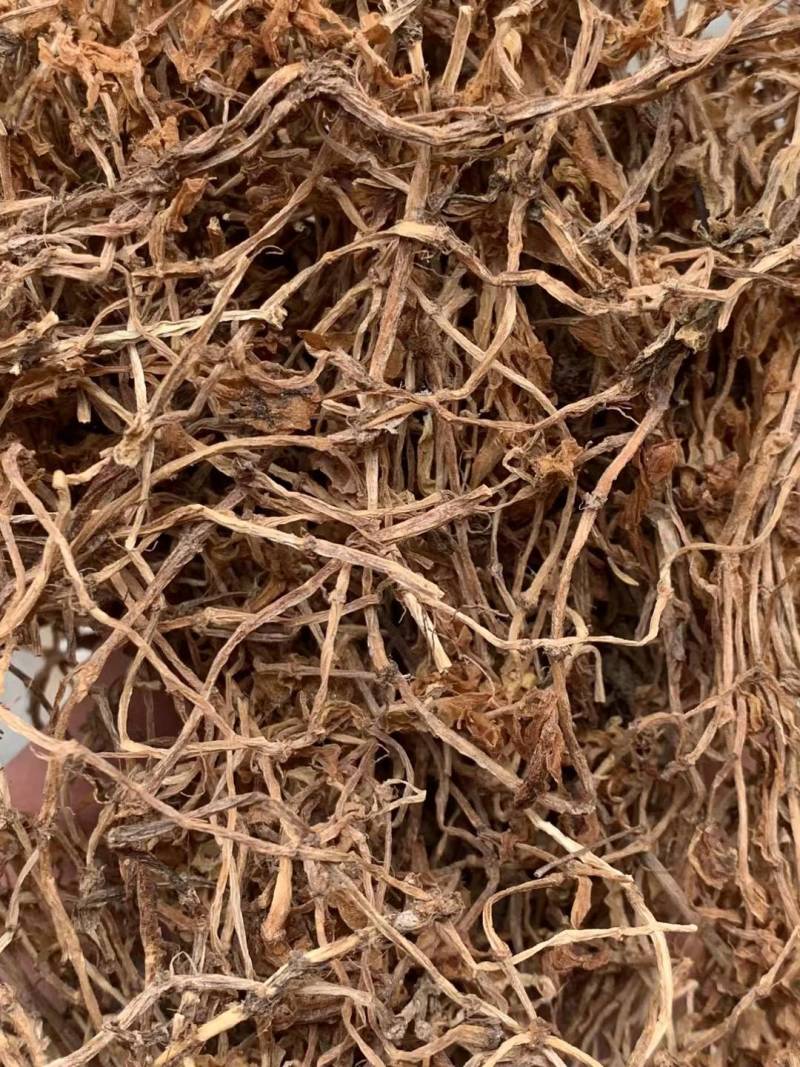 垂盆草【包邮】三斤起发货可批量可零售量大从优