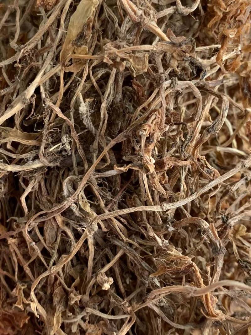 垂盆草【包邮】三斤起发货可批量可零售量大从优