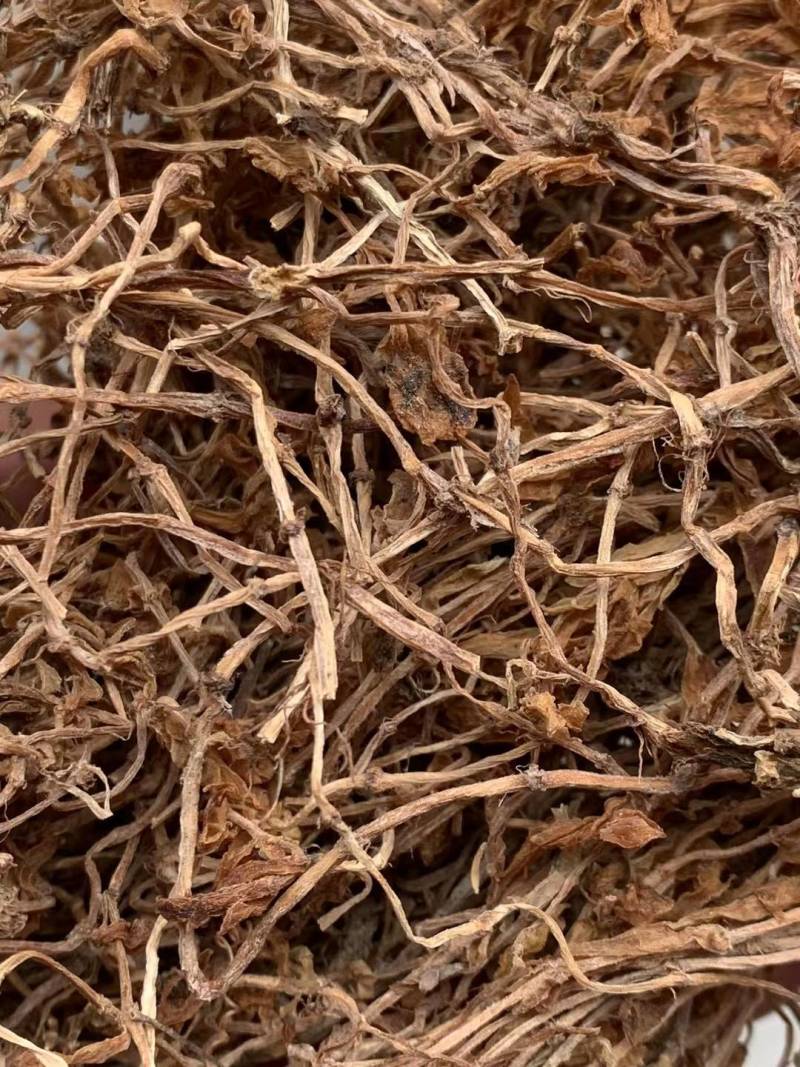 垂盆草【包邮】三斤起发货可批量可零售量大从优