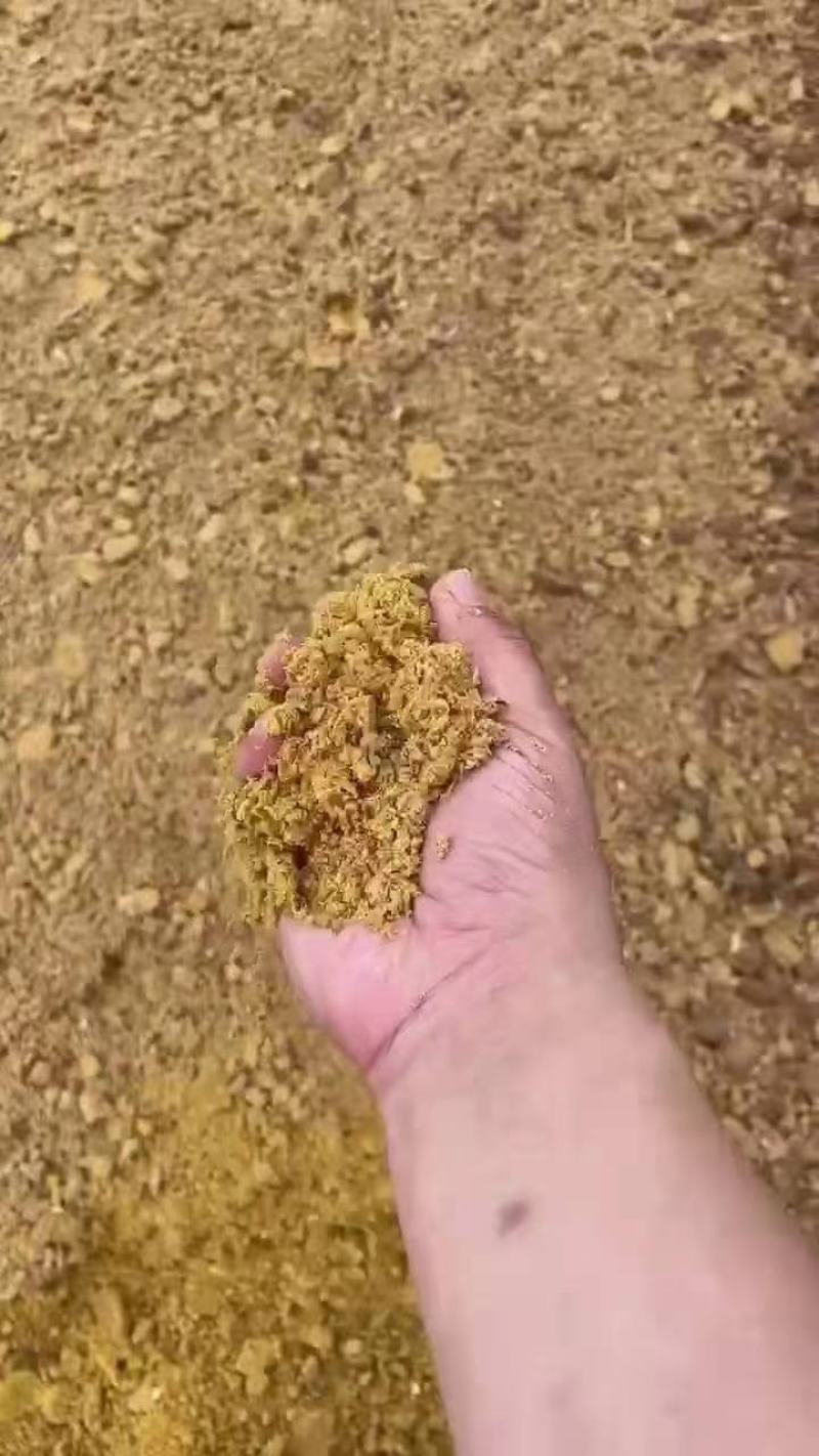 苹果渣无杂质实体经营批发鸡鸭鹅猪牛羊专用原料量大从优