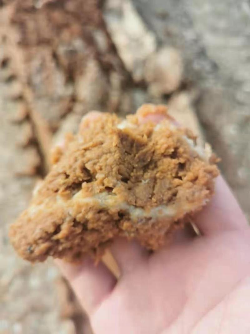 苹果渣无杂质实体经营批发鸡鸭鹅猪牛羊专用原料量大从优
