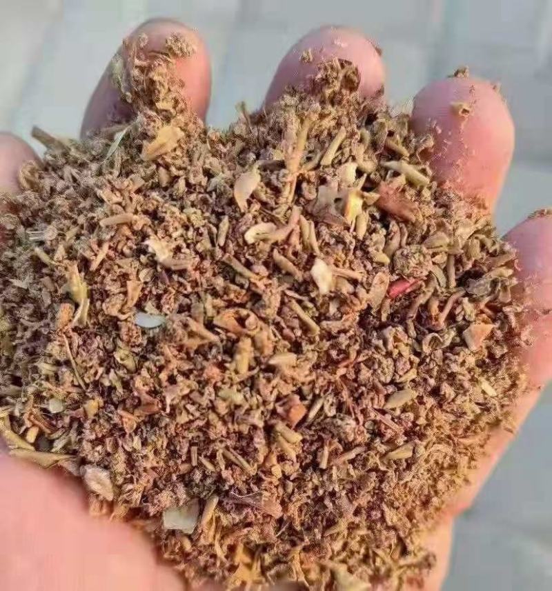 苹果渣无杂质实体经营批发鸡鸭鹅猪牛羊专用原料量大从优