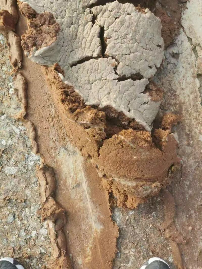 苹果渣无杂质实体经营批发鸡鸭鹅猪牛羊专用原料量大从优