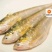 世代全國刀魚總代理