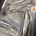 世代全國刀魚總代理