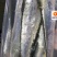世代全國刀魚總代理