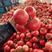 山东费县硬粉西红柿大量上市，需要老板随时下单，大量有货