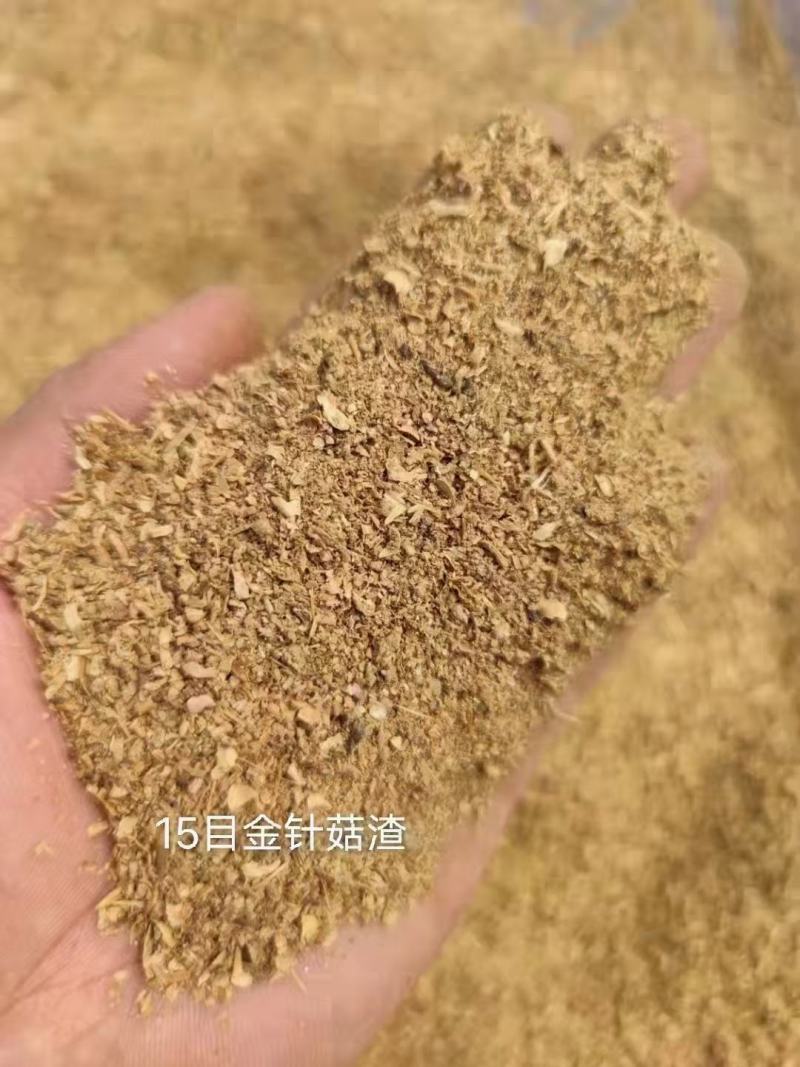 金针菇渣