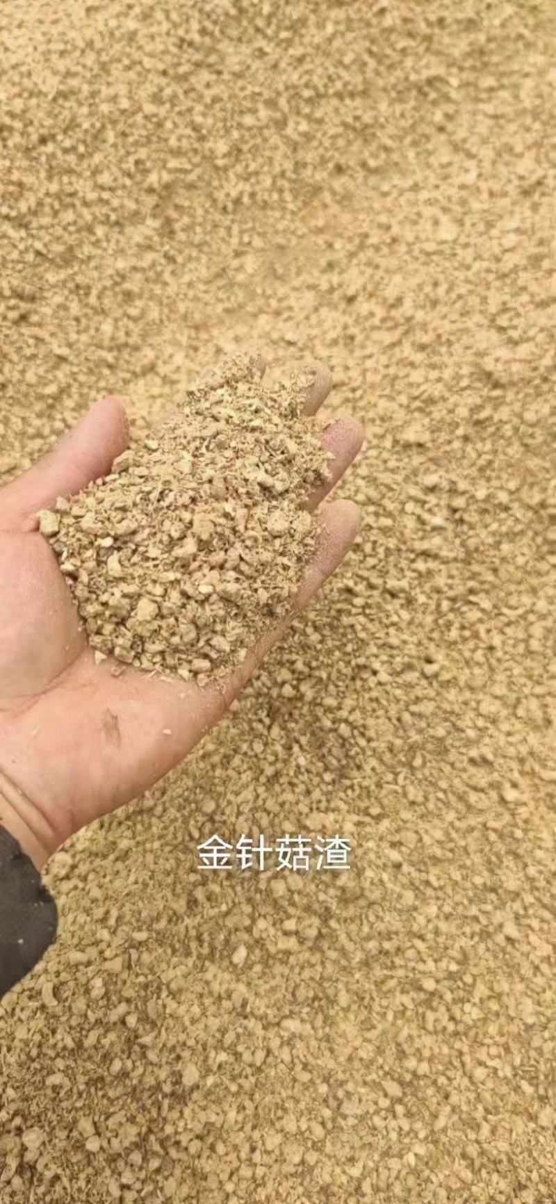 金针菇渣
