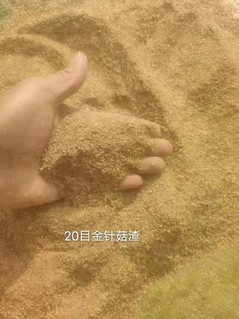 金针菇渣