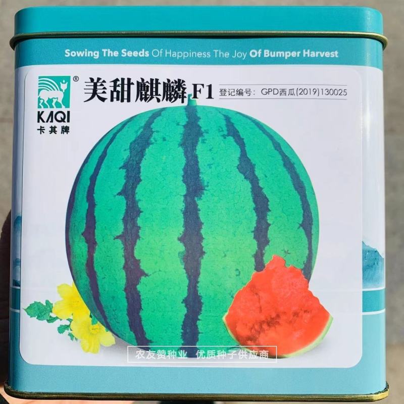 卡其美甜麒麟西瓜种子早熟圆形红瓤薄皮西瓜种籽，抗旱耐湿