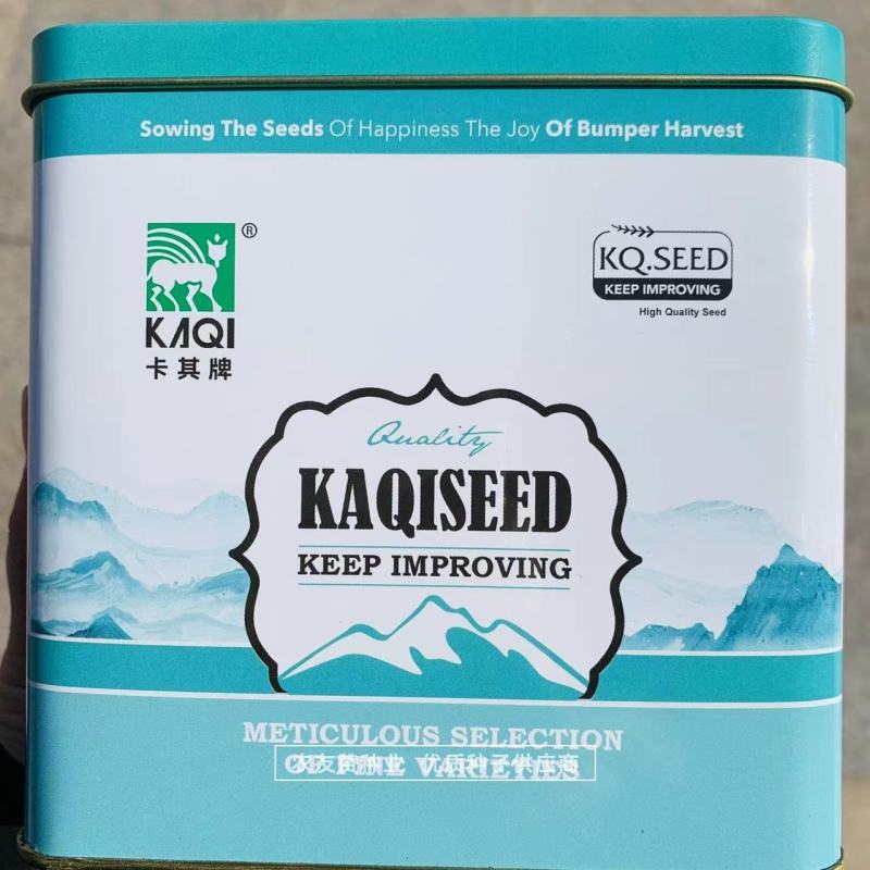 卡其美甜麒麟西瓜种子早熟圆形红瓤薄皮西瓜种籽，抗旱耐湿