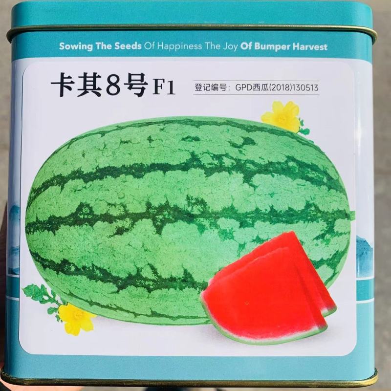 卡其8号西瓜种子大果型抗枯萎病耐重茬椭圆形大西瓜种籽高糖