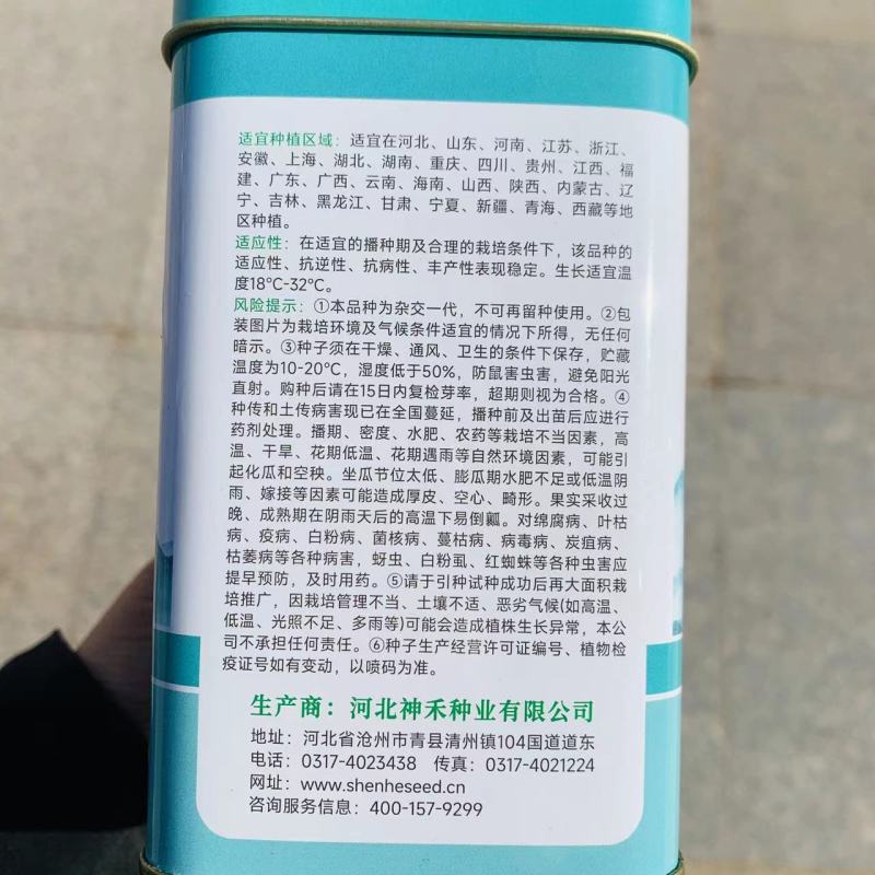 卡其8号西瓜种子大果型抗枯萎病耐重茬椭圆形大西瓜种籽高糖