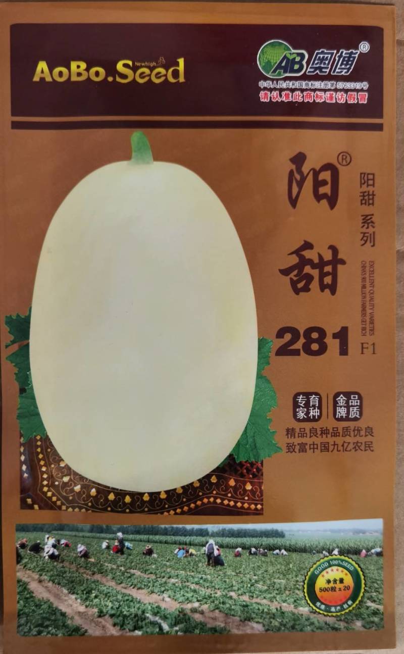 高糖薄皮甜瓜种子果实光滑口感酥脆单瓜重500-600克