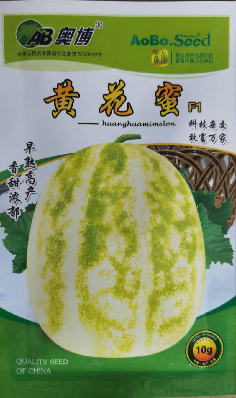 高糖薄皮甜瓜种子果实光滑口感酥脆单瓜重500-600克