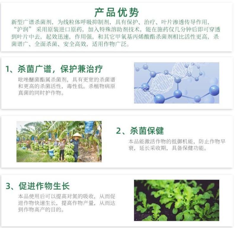 祥龙蓝翠25%吡唑醚菌酯叶斑病褐斑病炭疽病杀菌剂