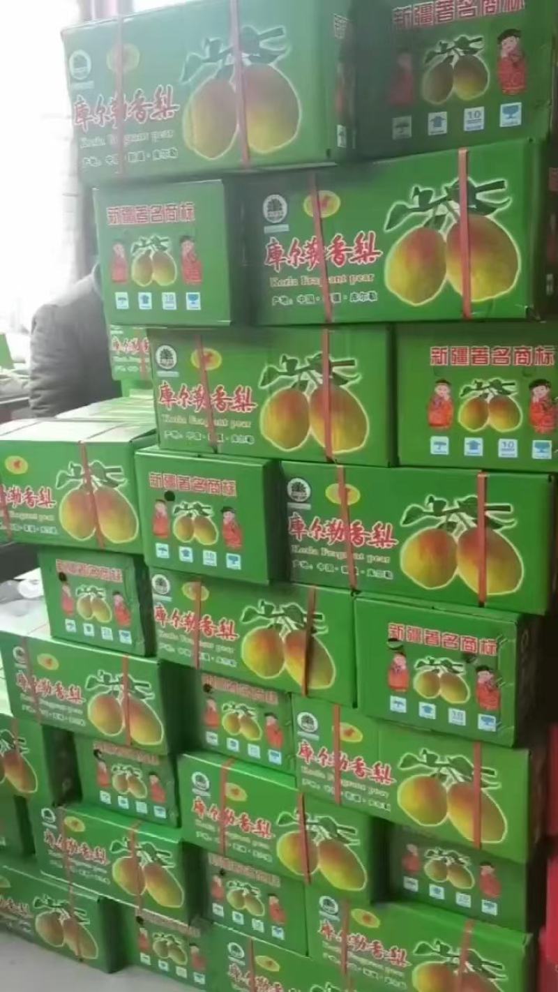 大量红香酥梨