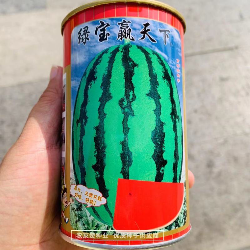厂家直销绿宝赢天下西瓜种子耐重茬花皮椭圆型正宗大红瓤