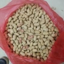 双仁花生果，在春明期间开始播种，经人工精选细挑的花生，