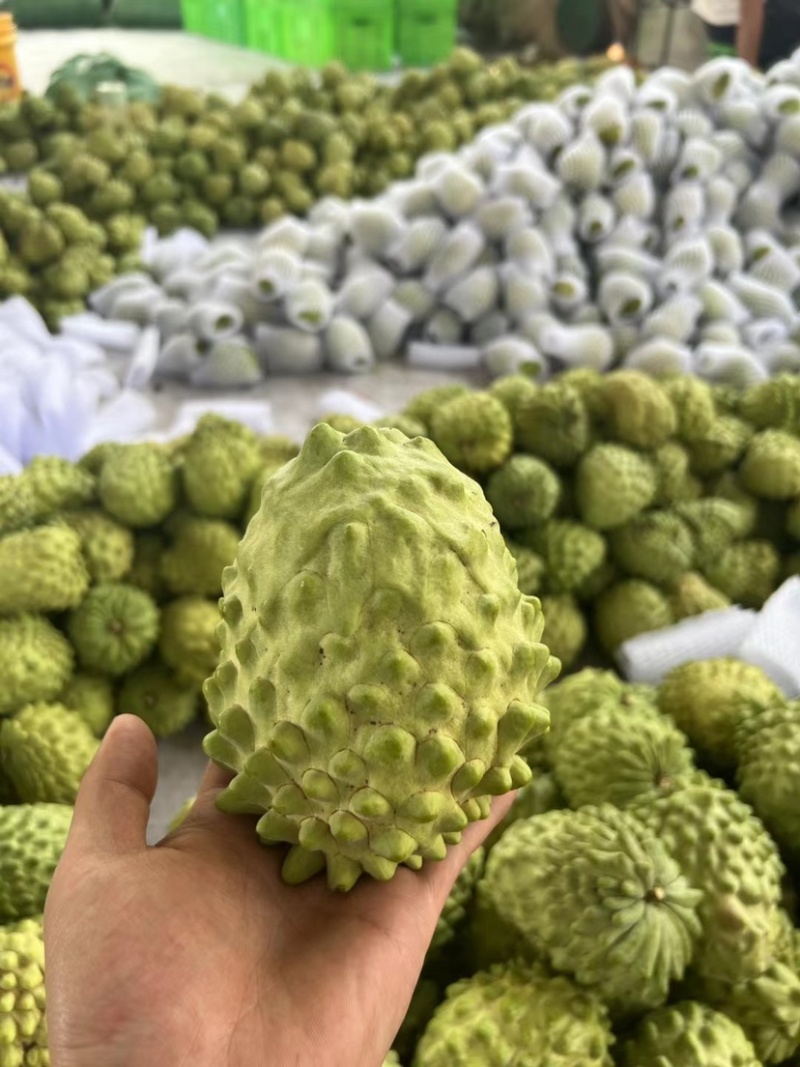 释迦果