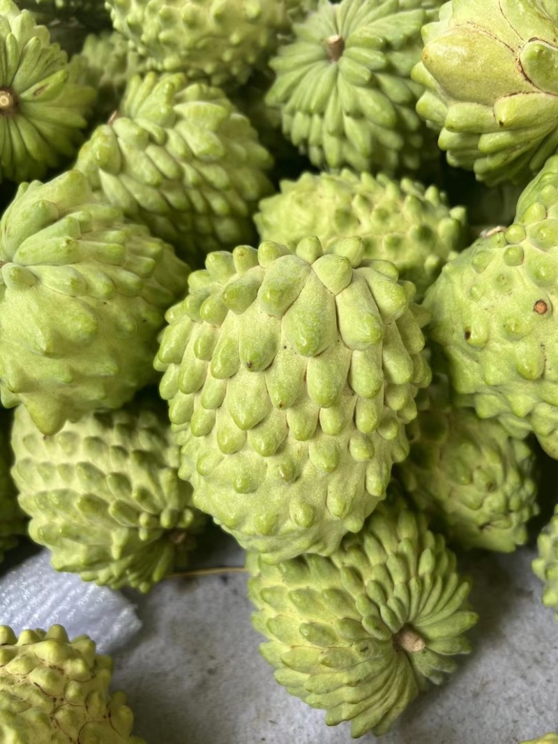 释迦果