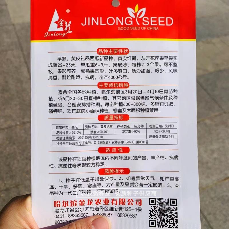 早熟黄皮礼品西瓜种子黄皮地雷西瓜种籽质沙甜脆，籽少皮薄